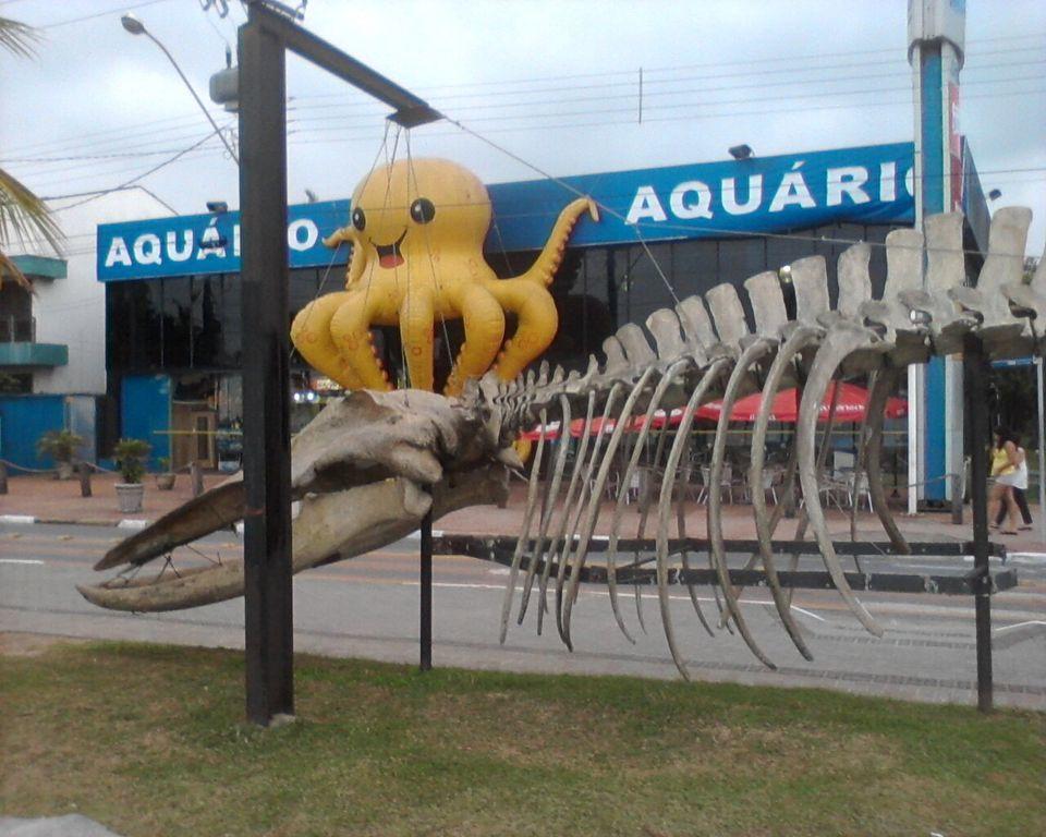 Apartamento Estudio Na Pitangueiras Guarujá Buitenkant foto
